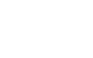 baghvin-high-resolution-logo-white-transparent